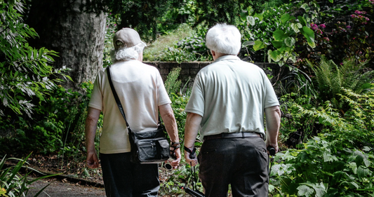 Balance Board Exercises for Seniors