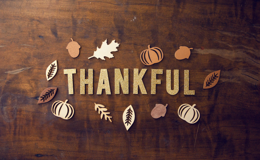 Gratitude: Not Just for Thanksgiving